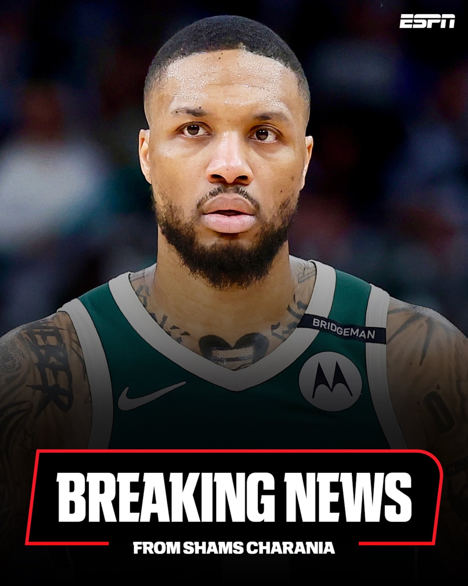 九游体育官网-赛地是哪个国家的钱